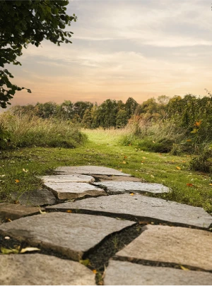Kamenná cestička vedoucí loukou směrem k lesu při západu slunce