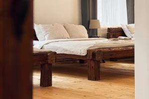 Novomanzelska loznice