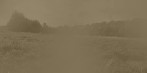 Fotografie louky se sépiovým efektem